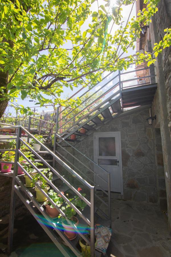 The Mosaic House - Shtepia Me Mozaik Hotel Permet Exterior photo